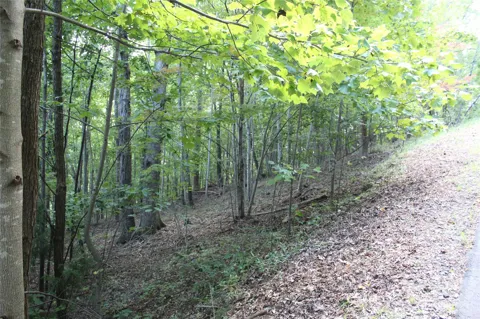 0 Azule Ridge Drive