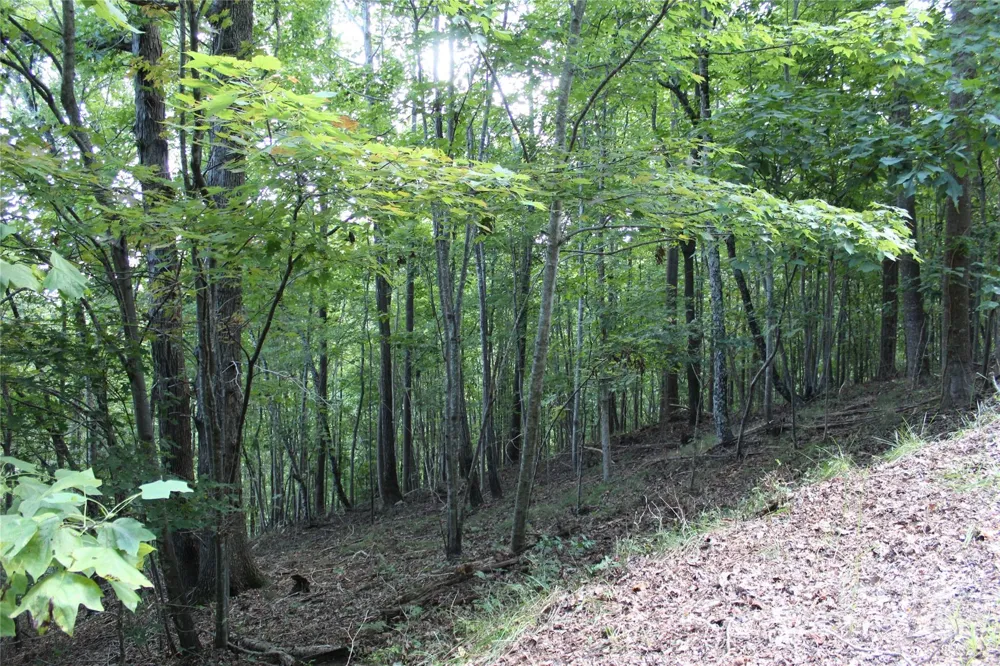0 Azule Ridge Drive Bostic, NC 28018