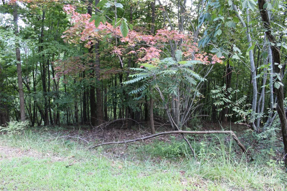0 Azule Ridge Drive Bostic, NC 28018