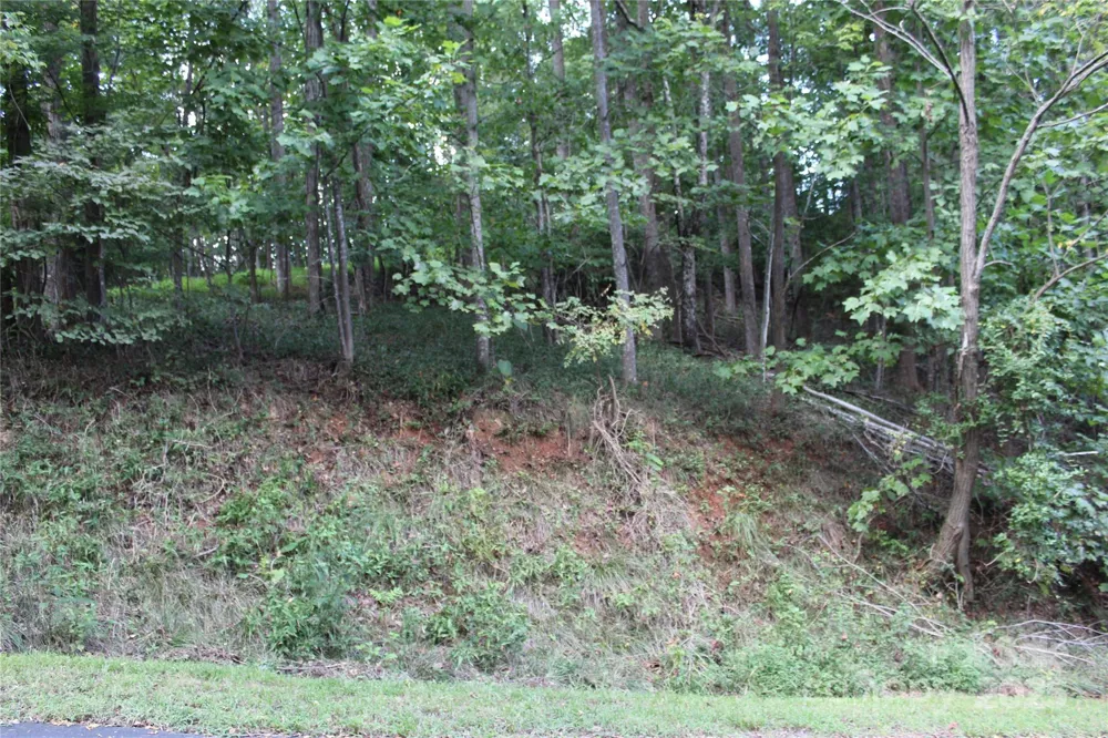 0 Azule Ridge Drive Bostic, NC 28018