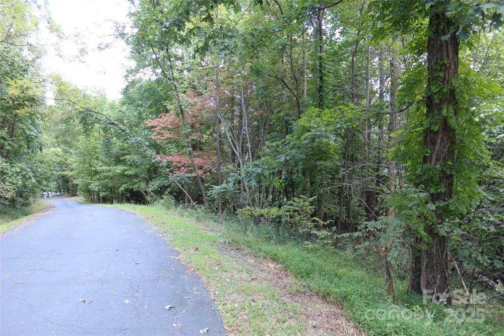 0 Azule Ridge Drive Bostic, NC 28018