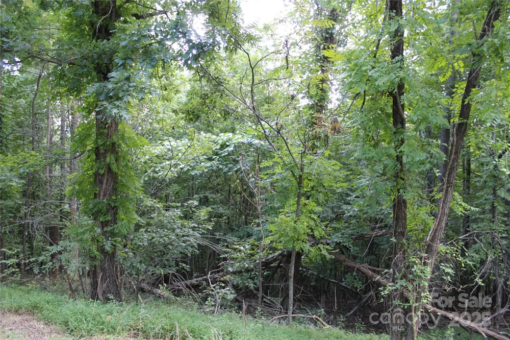 0 Azule Ridge Drive Bostic, NC 28018