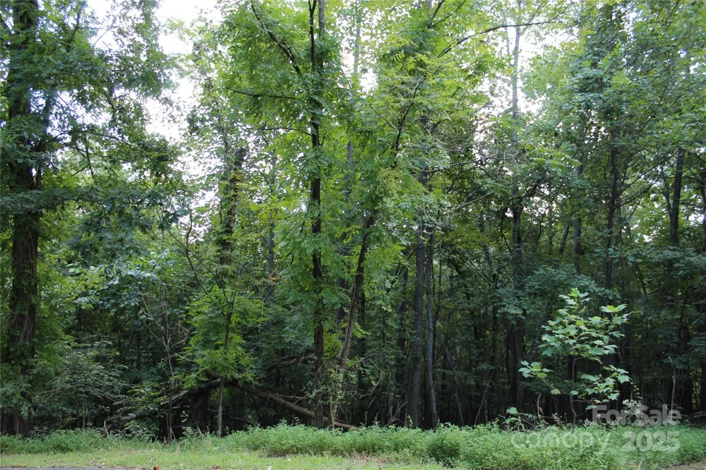 0 Azule Ridge Drive Bostic, NC 28018