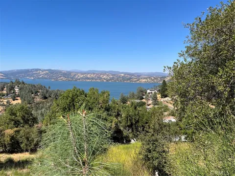 10009 Point Lakeview Road