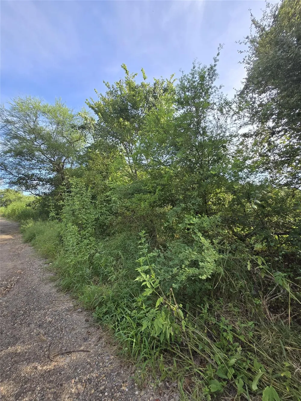Jewett Victoria, TX 77901