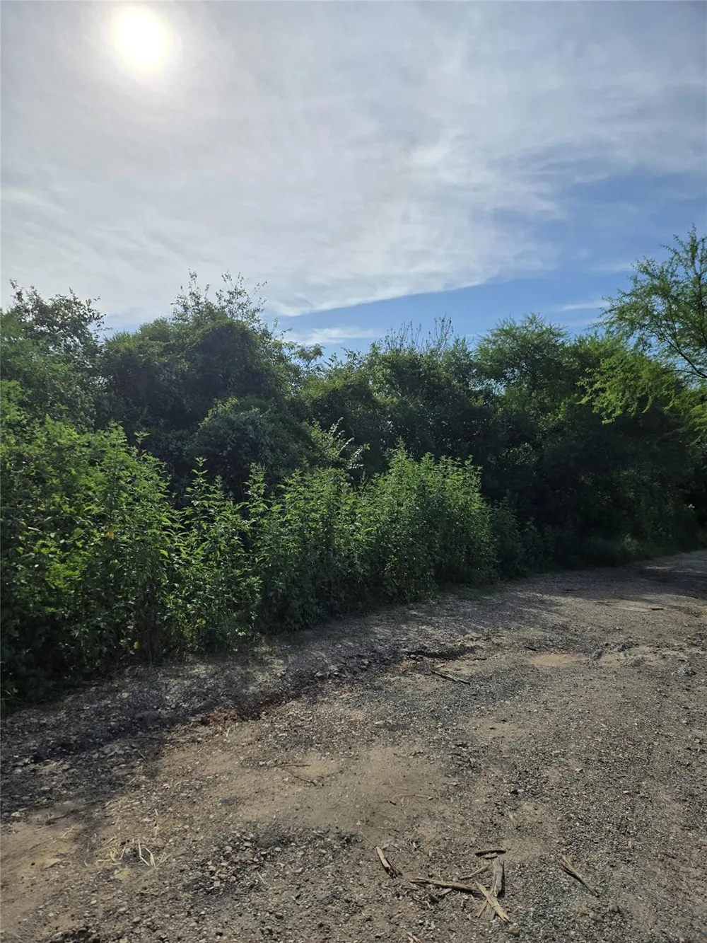 Jewett Victoria, TX 77901