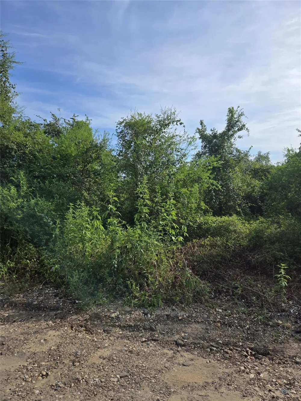 Jewett Victoria, TX 77901