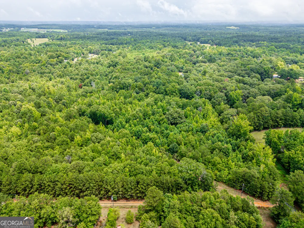 0 Zellner RD Forsyth, GA 31029