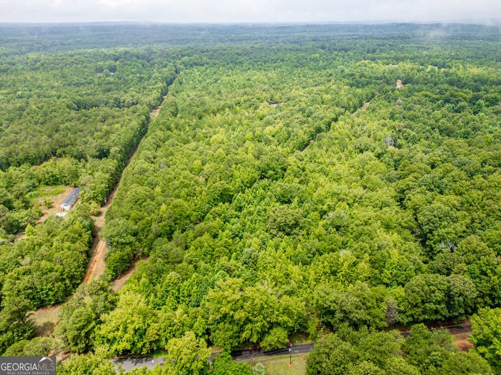 0 Zellner RD Forsyth, GA 31029