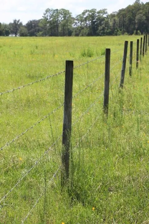 GREEN SWAMP ROAD Clermont, FL 34714