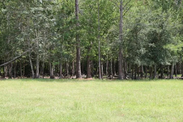 GREEN SWAMP ROAD Clermont, FL 34714