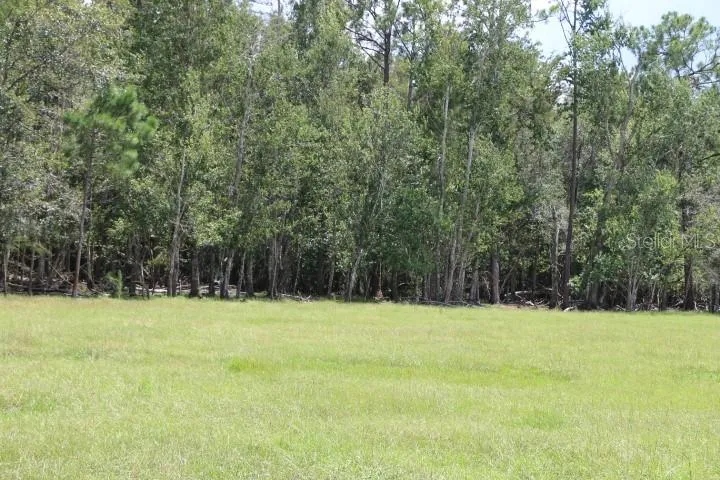 GREEN SWAMP ROAD Clermont, FL 34714
