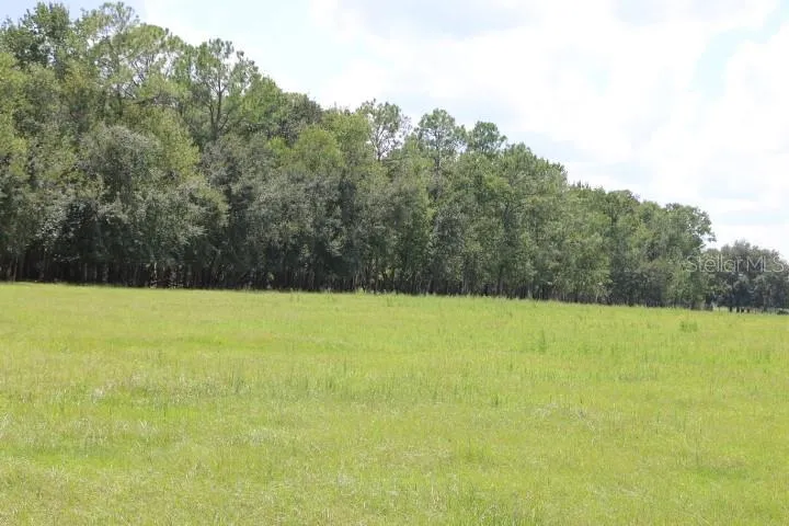 GREEN SWAMP ROAD Clermont, FL 34714