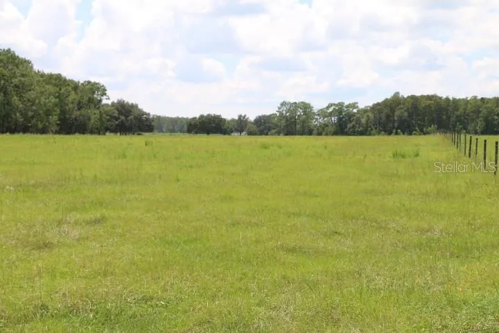 GREEN SWAMP ROAD Clermont, FL 34714