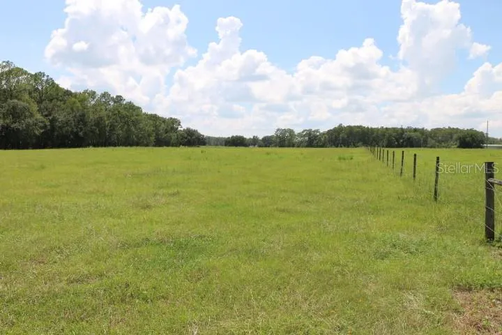 GREEN SWAMP ROAD Clermont, FL 34714