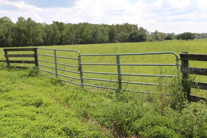 GREEN SWAMP ROAD Clermont, FL 34714