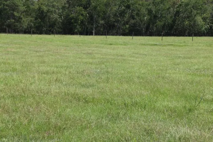 GREEN SWAMP ROAD Clermont, FL 34714