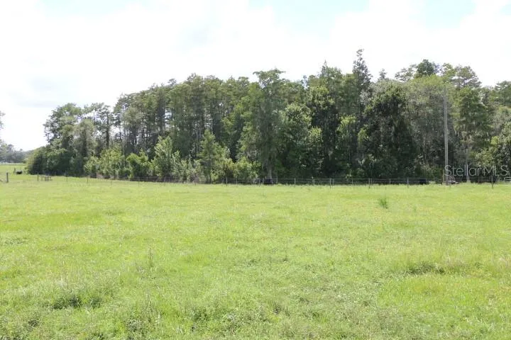 GREEN SWAMP ROAD Clermont, FL 34714