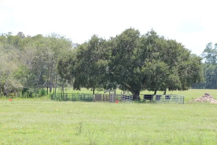 GREEN SWAMP ROAD Clermont, FL 34714