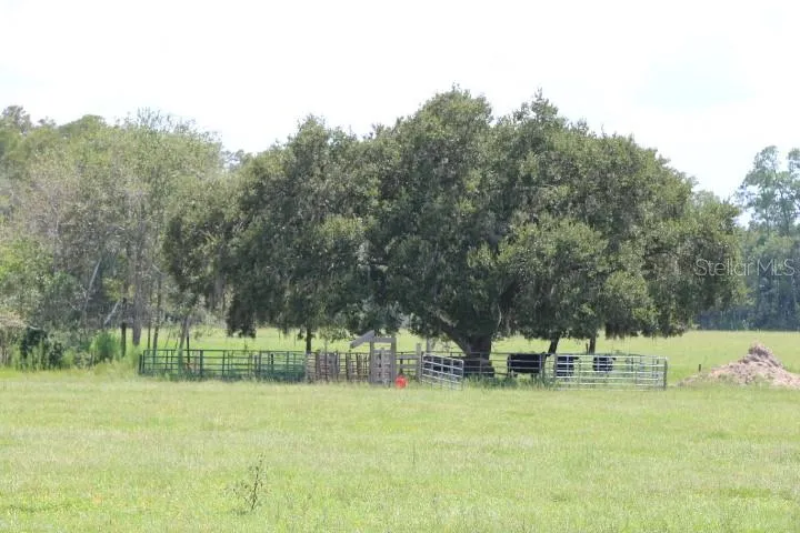 GREEN SWAMP ROAD Clermont, FL 34714