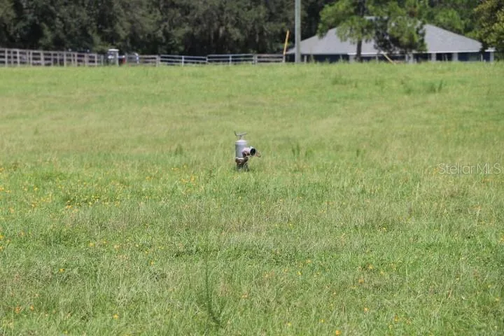 GREEN SWAMP ROAD Clermont, FL 34714