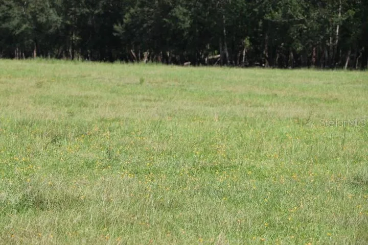 GREEN SWAMP ROAD Clermont, FL 34714