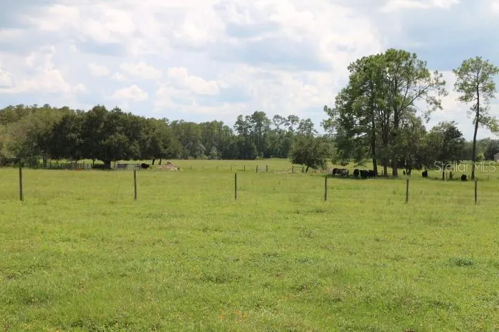 GREEN SWAMP ROAD Clermont, FL 34714