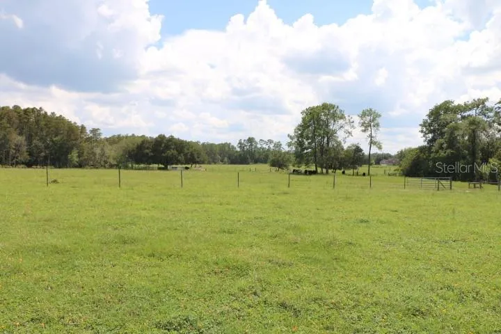 GREEN SWAMP ROAD Clermont, FL 34714