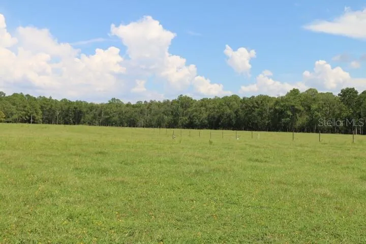 GREEN SWAMP ROAD Clermont, FL 34714