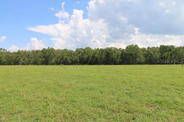 GREEN SWAMP ROAD Clermont, FL 34714