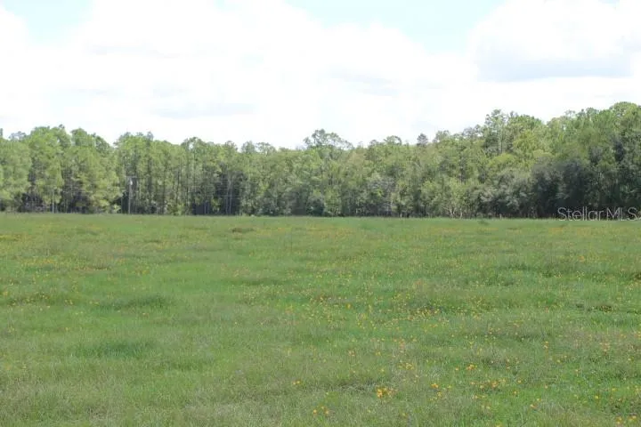 GREEN SWAMP ROAD Clermont, FL 34714