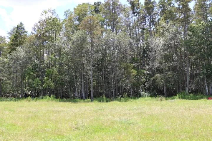 GREEN SWAMP ROAD Clermont, FL 34714