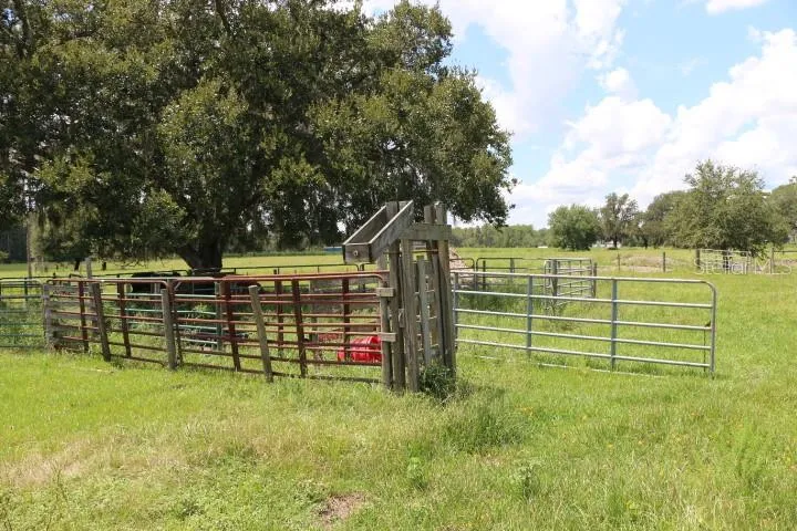 GREEN SWAMP ROAD Clermont, FL 34714
