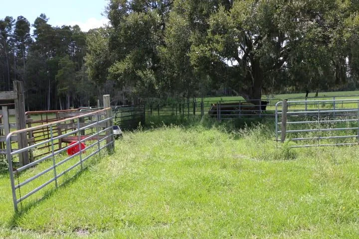 GREEN SWAMP ROAD Clermont, FL 34714