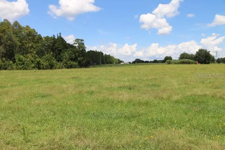GREEN SWAMP ROAD Clermont, FL 34714