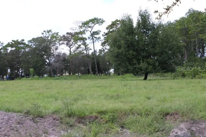 GREEN SWAMP ROAD Clermont, FL 34714