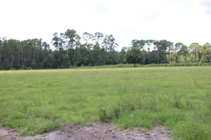 GREEN SWAMP ROAD Clermont, FL 34714