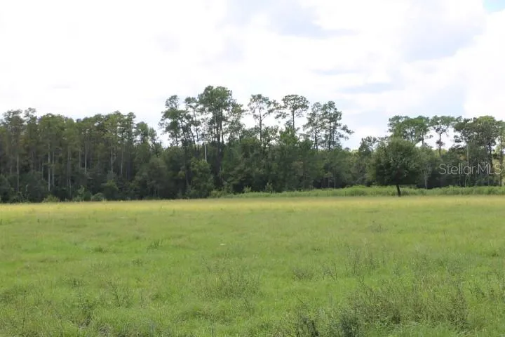 GREEN SWAMP ROAD Clermont, FL 34714