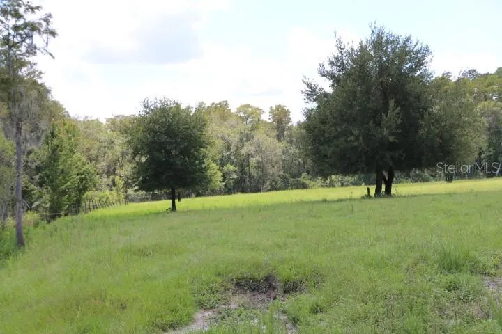 GREEN SWAMP ROAD Clermont, FL 34714