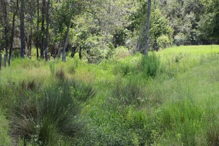 GREEN SWAMP ROAD Clermont, FL 34714
