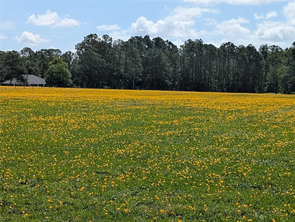 GREEN SWAMP ROAD Clermont, FL 34714