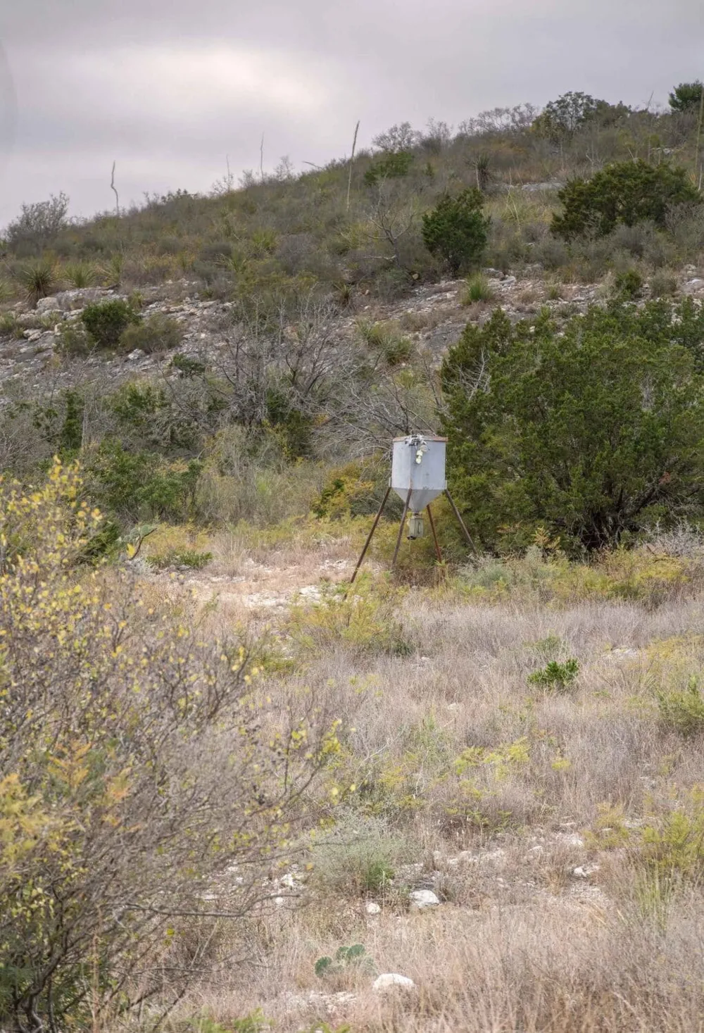 58 Leona Ranch Road Brackettville, TX 78832