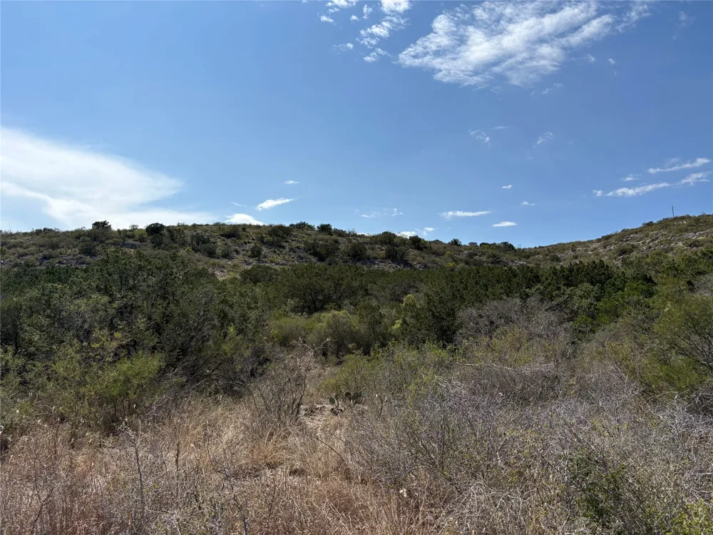 58 Leona Ranch Road Brackettville, TX 78832