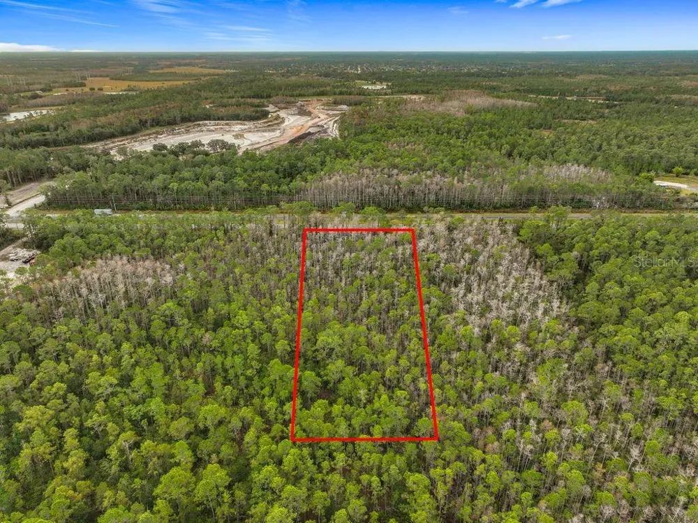 20617 E COLONIAL DRIVE Christmas, FL 32709