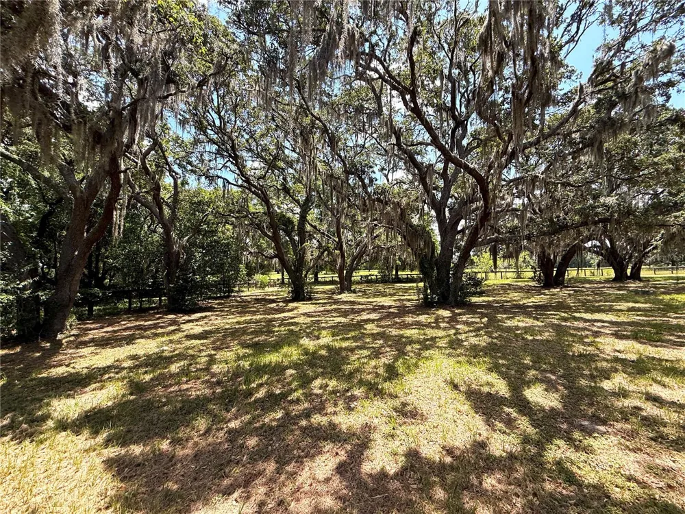 7119 SW 80TH AVENUE ocala, FL 34481