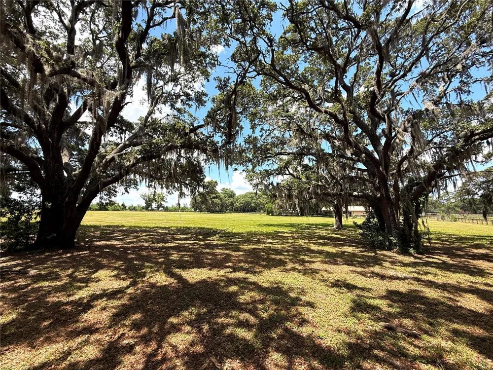 7119 SW 80TH AVENUE ocala, FL 34481