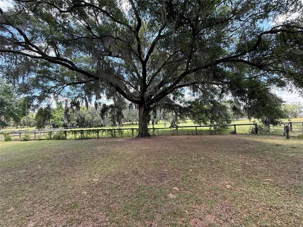 7119 SW 80TH AVENUE ocala, FL 34481