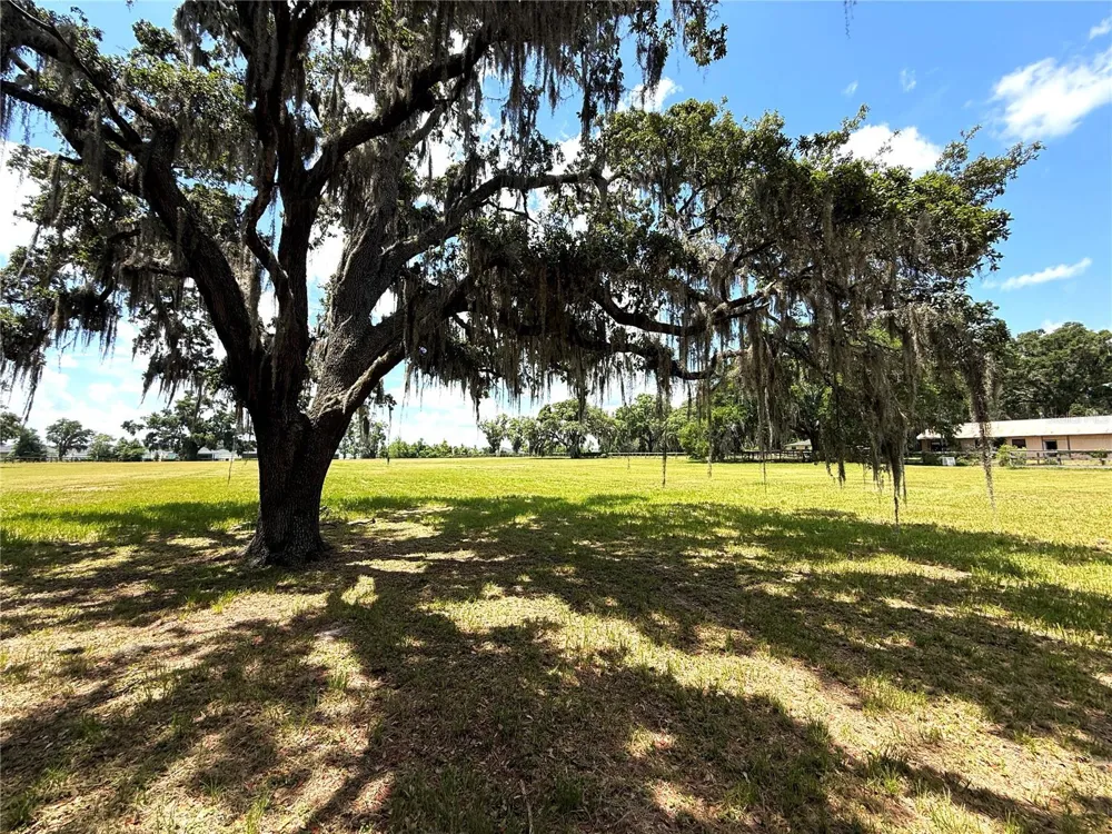 7119 SW 80TH AVENUE ocala, FL 34481