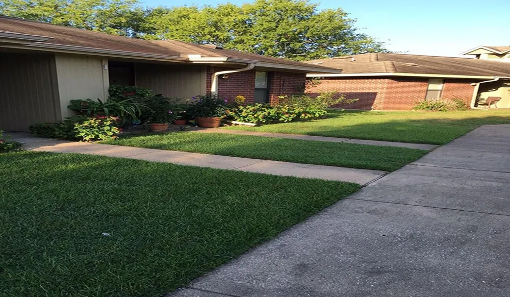 125 Elders Dr Tatum, TX 75691
