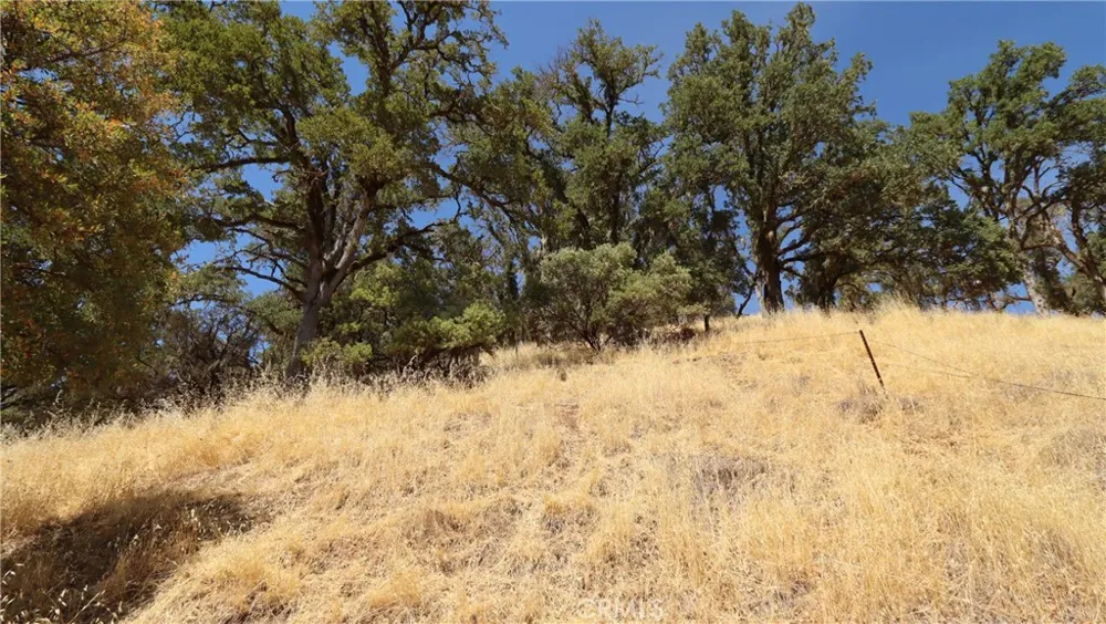 620 Park Way Lakeport, CA 95453